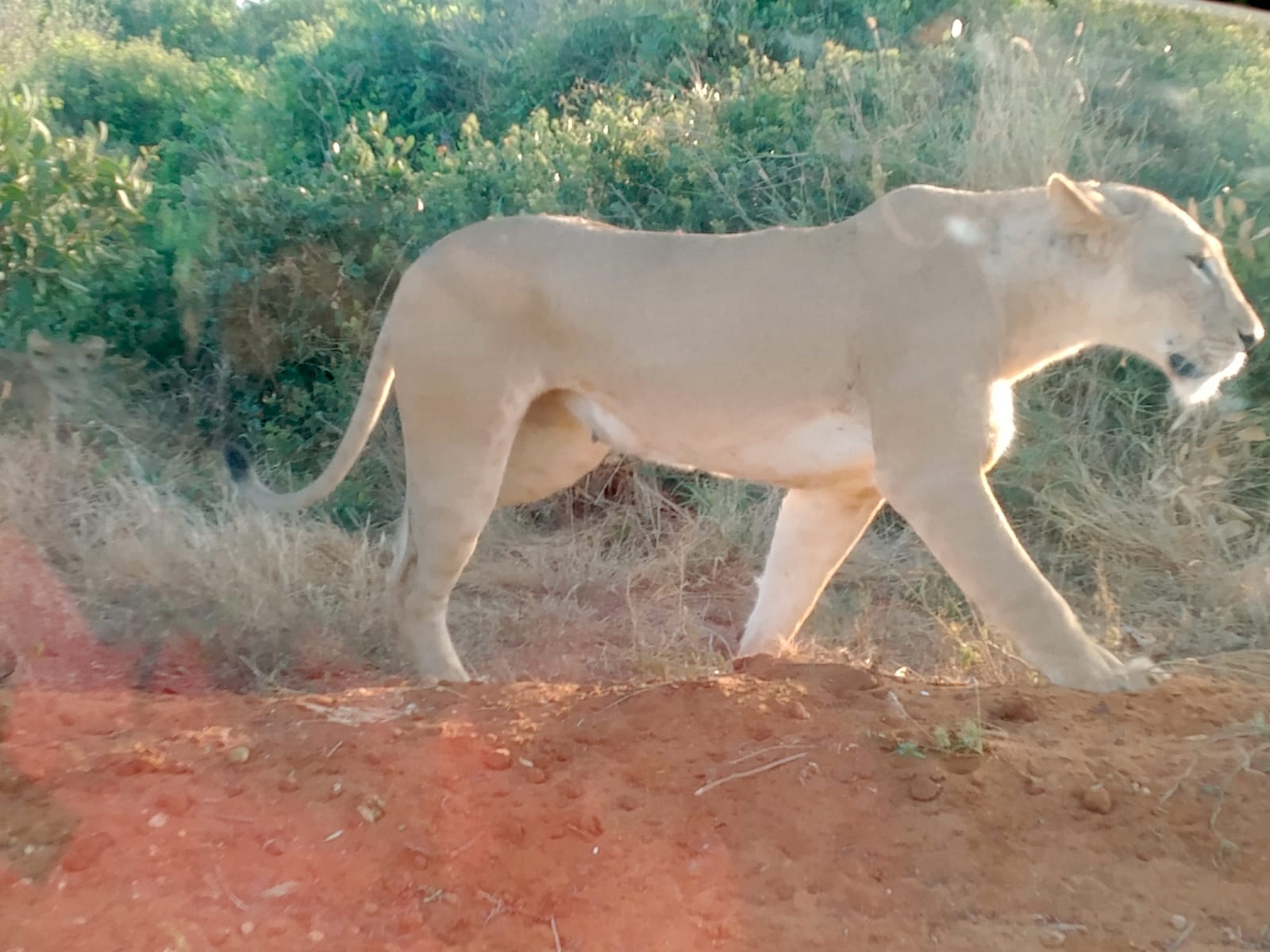Serene Beach Retreat
