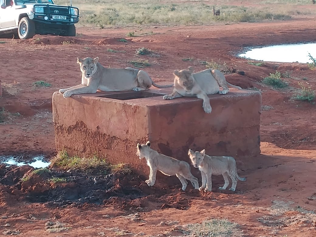 Serene Beach Retreat