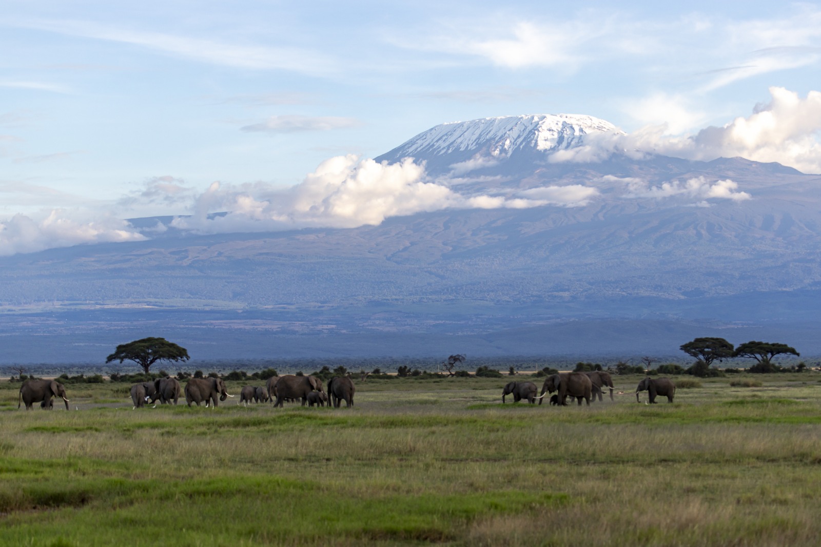 Serene Beach Retreat